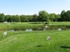 The pond on the 2nd hole
