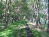 View looking North on the trail