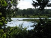 Marshland along the trail