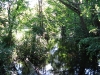 Riding the Sussex Branch Trail on July 4, 2009